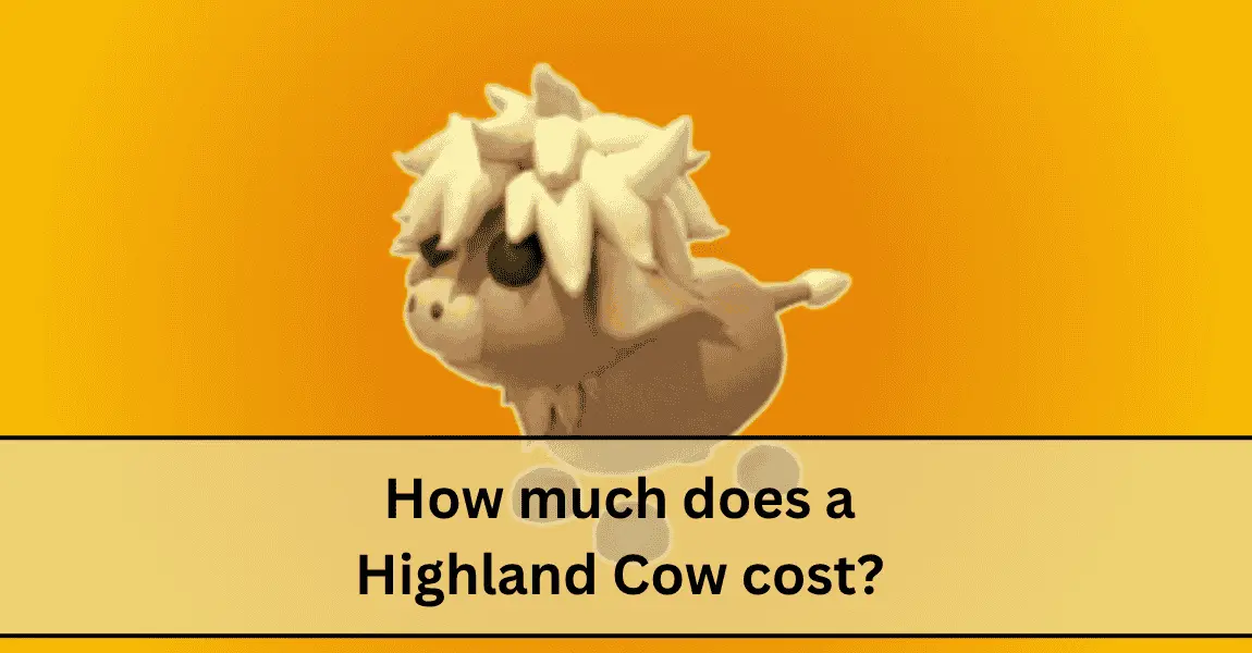 how much does a Highland Cow cost